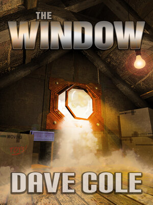 cover image of The Window